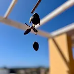 La Casita Naturaleza Semesterbostad